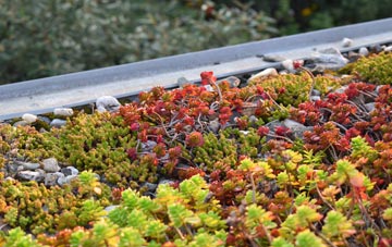 the cost of Potter Brompton green roof installation