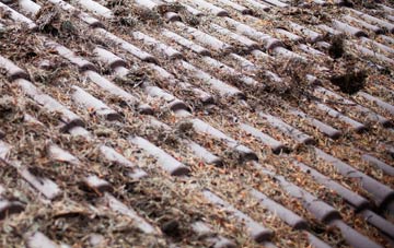 Potter Brompton roof cleaning companies